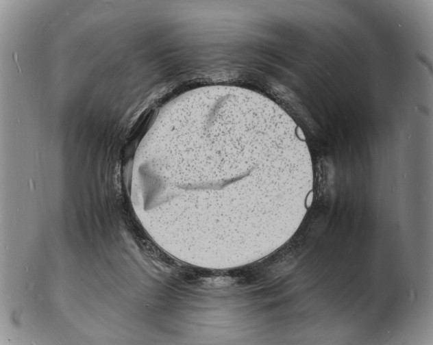 X0000102780212200809151110