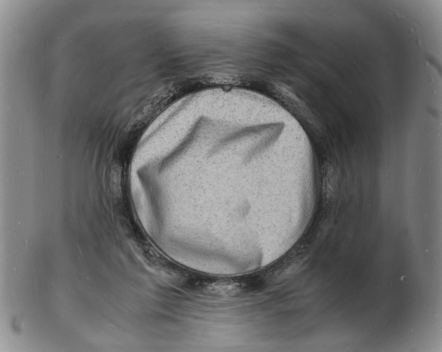 X0000102780213200809151110