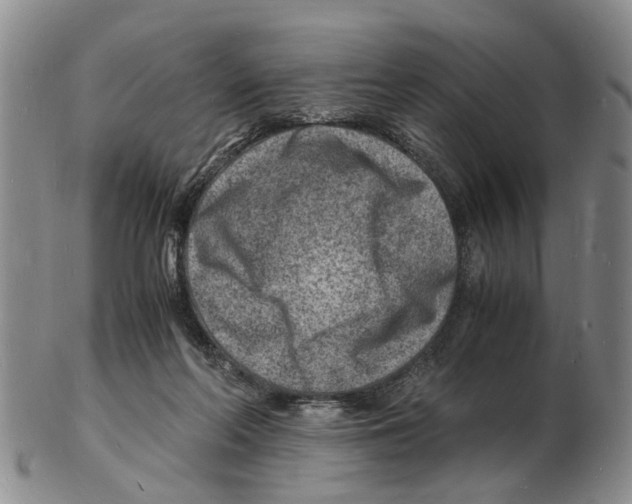 X0000102780214200809151110