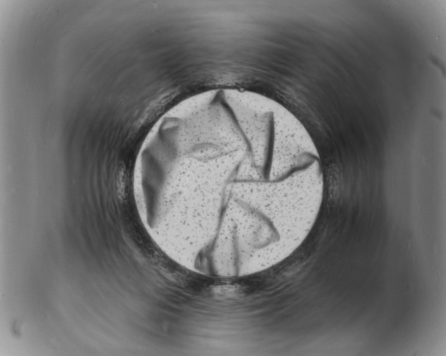 X0000102780216200809151110