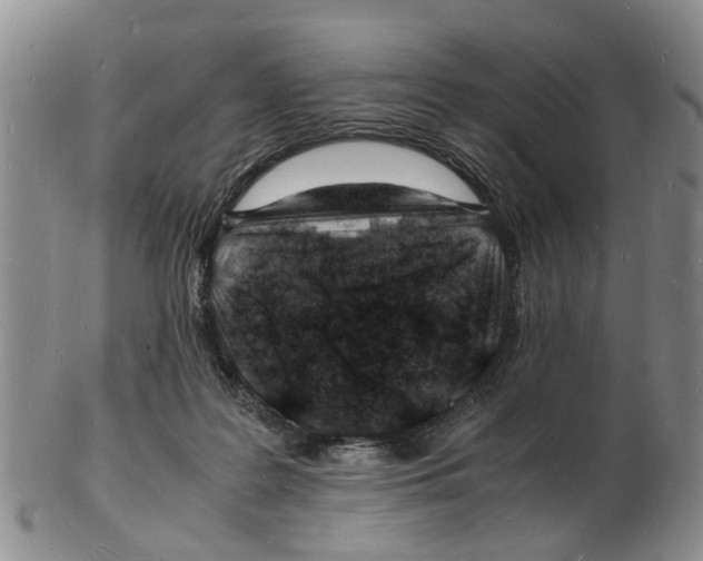 X0000102780219200809151110