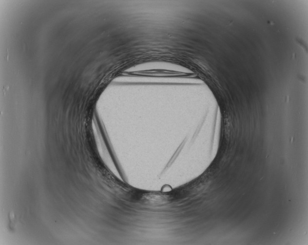 X0000102780221200809151110