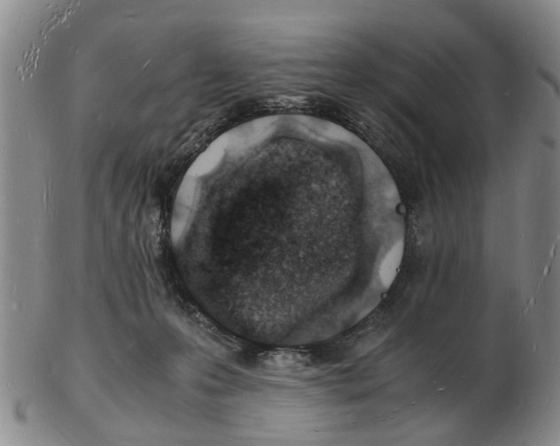 X0000102780223200809151110