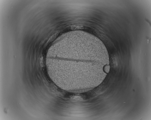 X0000102780224200809151110