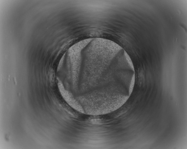 X0000102780228200809151110