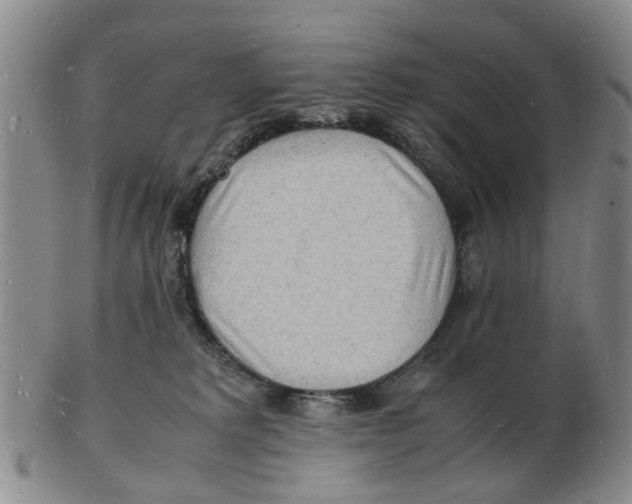 X0000102780229200809151110