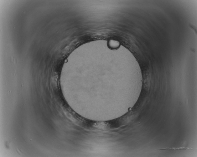 X0000102780231200809151110