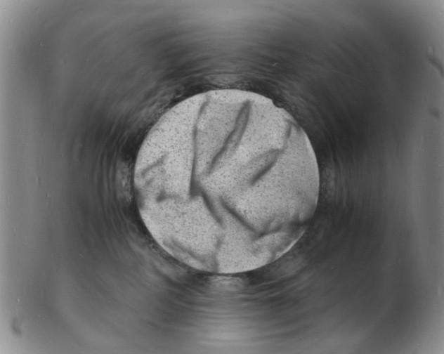 X0000102780234200809151110