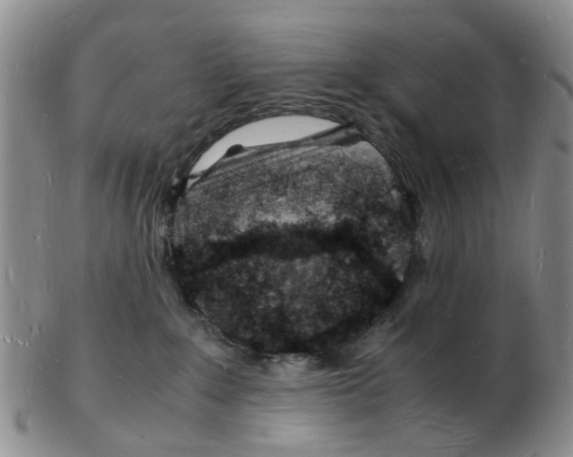 X0000102780235200809151110