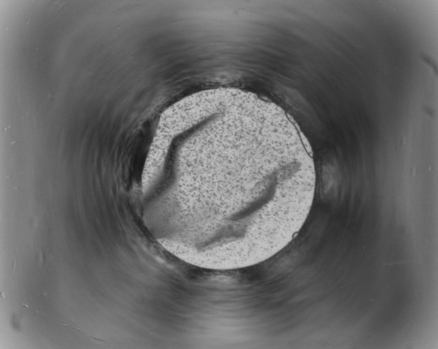 X0000102780236200809151110