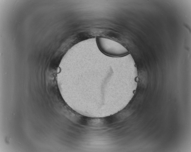 X0000102780237200809151110