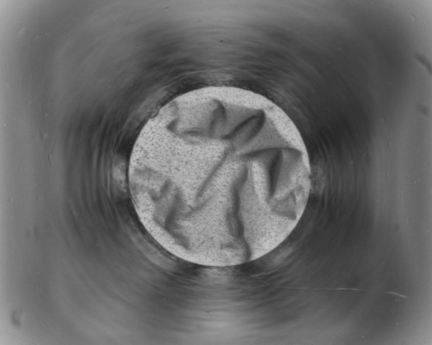 X0000102780238200809151110