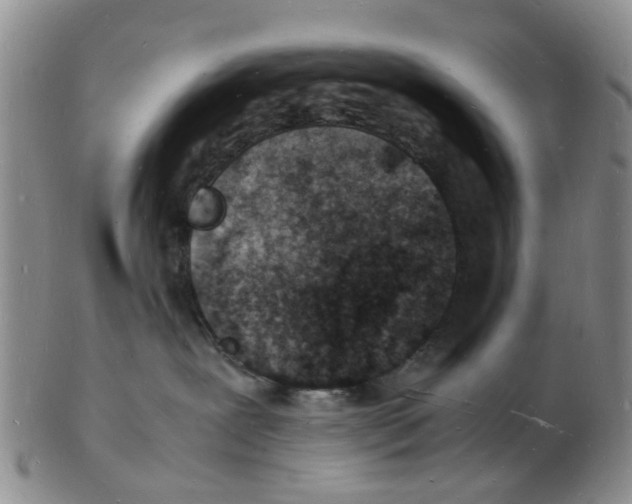 X0000102780239200809151110