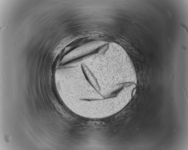 X0000102780242200809151109