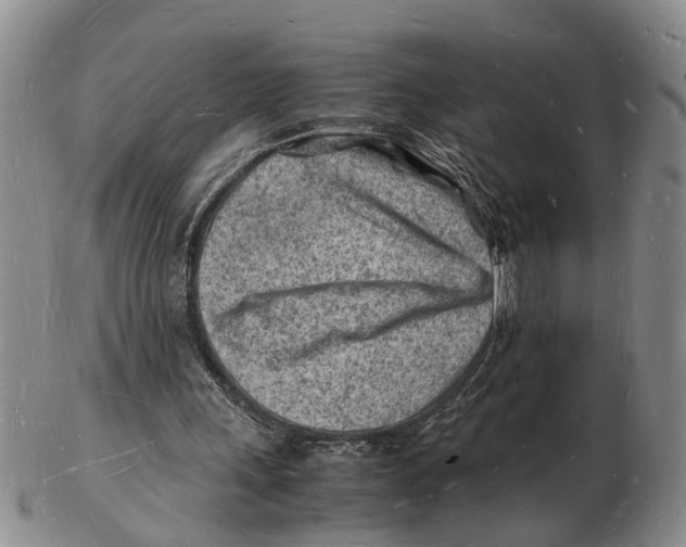 X0000102780243200809151109