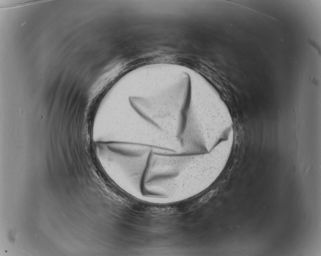 X0000102780245200809151109