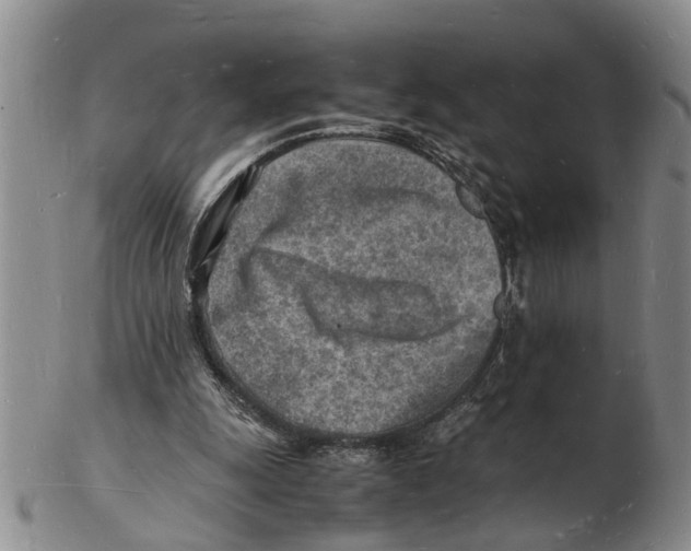 X0000102780247200809151109