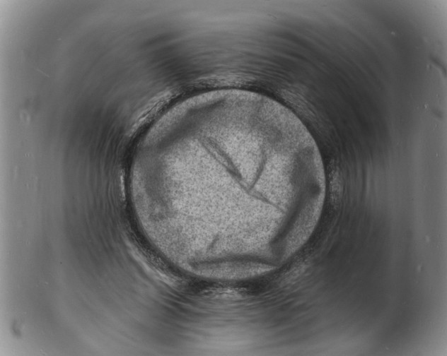 X0000102780254200809151109