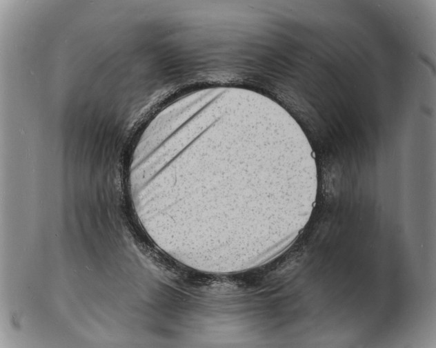 X0000102780256200809151109