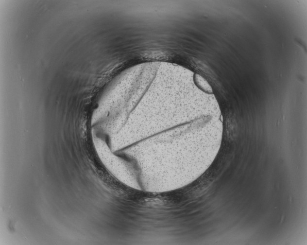 X0000102780259200809151109