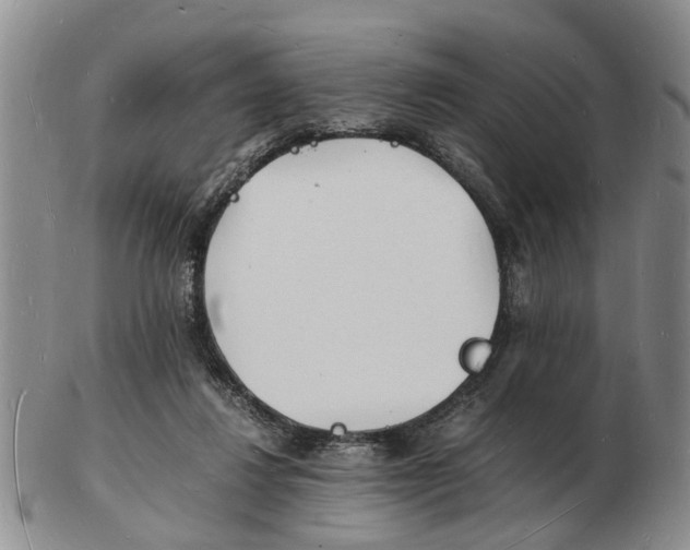 X0000102780260200809151109