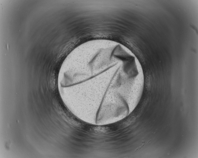 X0000102780261200809151109