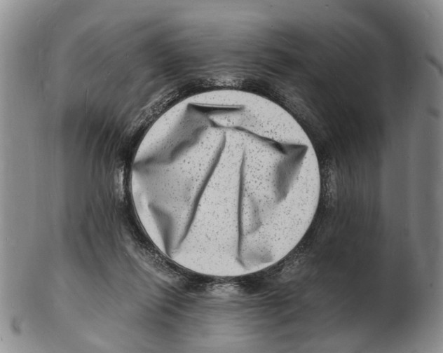 X0000102780262200809151109