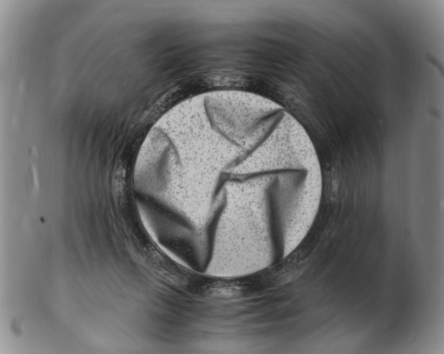 X0000102780263200809151109