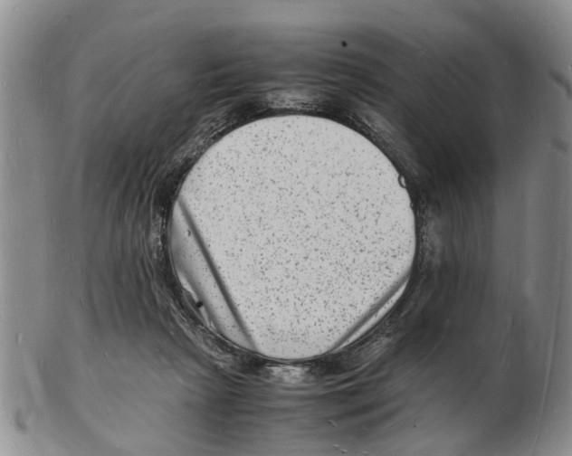 X0000102780265200809151109