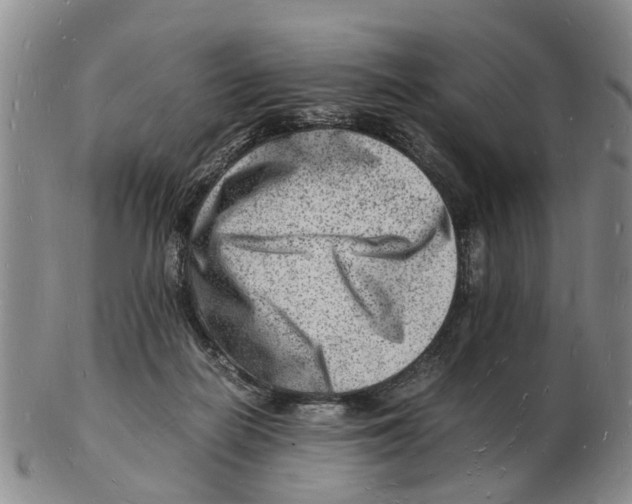 X0000102780266200809151109