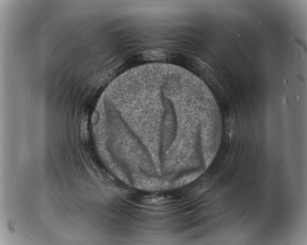 X0000102780267200809151109