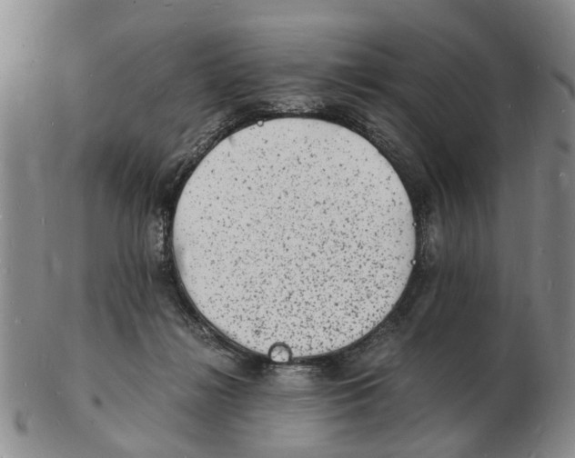 X0000102780268200809151109