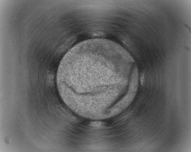 X0000102780269200809151109