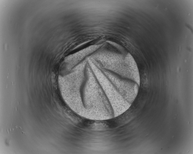 X0000102780270200809151109