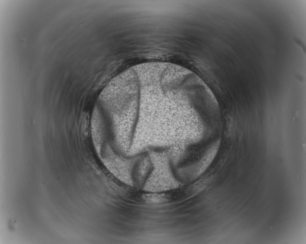 X0000102780273200809151109