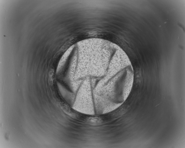 X0000102780275200809151109