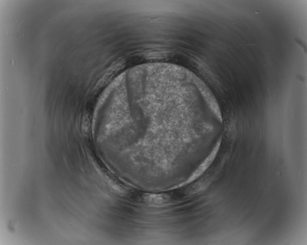 X0000102780277200809151109