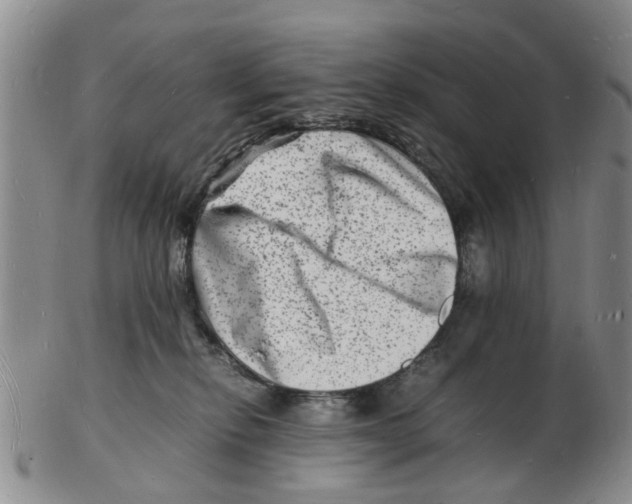 X0000102780278200809151109