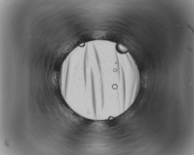 X0000102780280200809151110