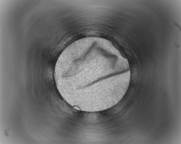 X0000102780282200809151110