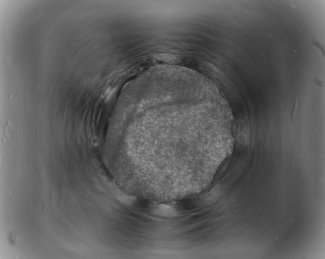 X0000102780285200809151110