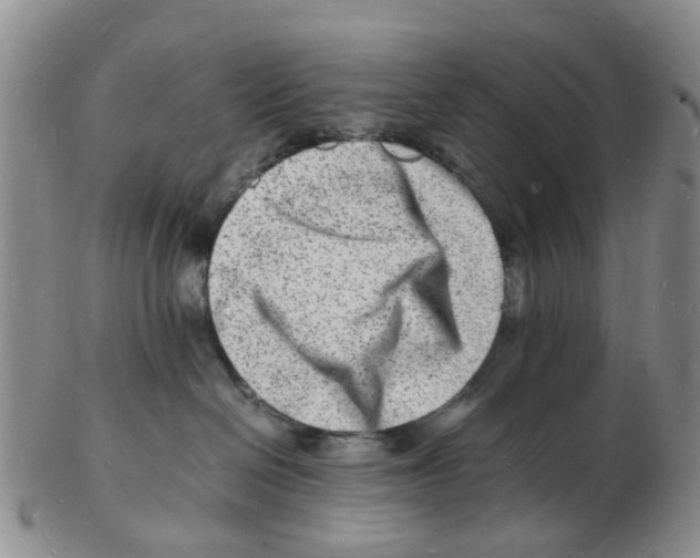 X0000102780286200809151110