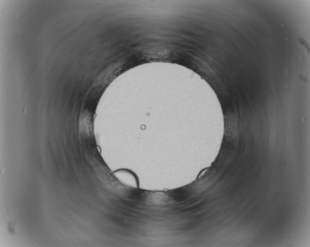 X0000102780287200809151110