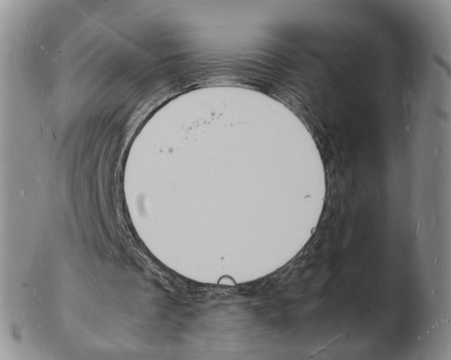 X0000102780289200809151109