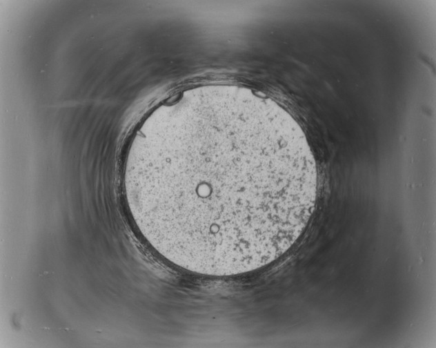 X0000102780293200809151109