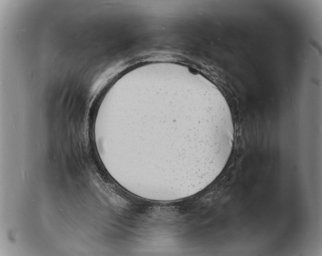 X0000102780296200809151109