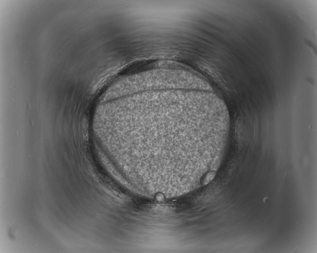 X0000102780303200809151109