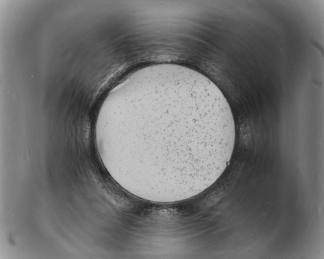 X0000102780304200809151109