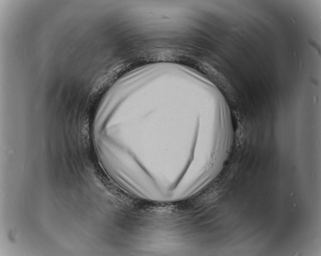 X0000102780306200809151109