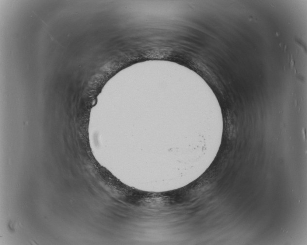 X0000102780307200809151109